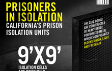 ca-isolation-solitary-watch-resources